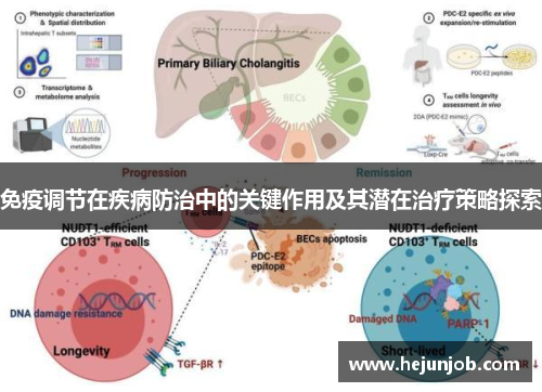 免疫调节在疾病防治中的关键作用及其潜在治疗策略探索