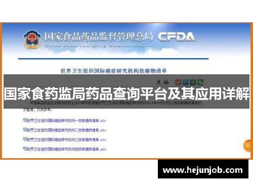 国家食药监局药品查询平台及其应用详解
