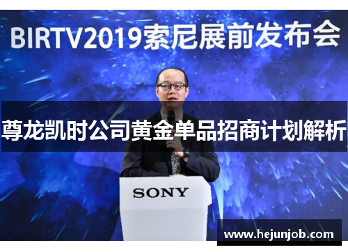 尊龙凯时公司黄金单品招商计划解析
